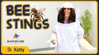 Bee Stings in Dogs