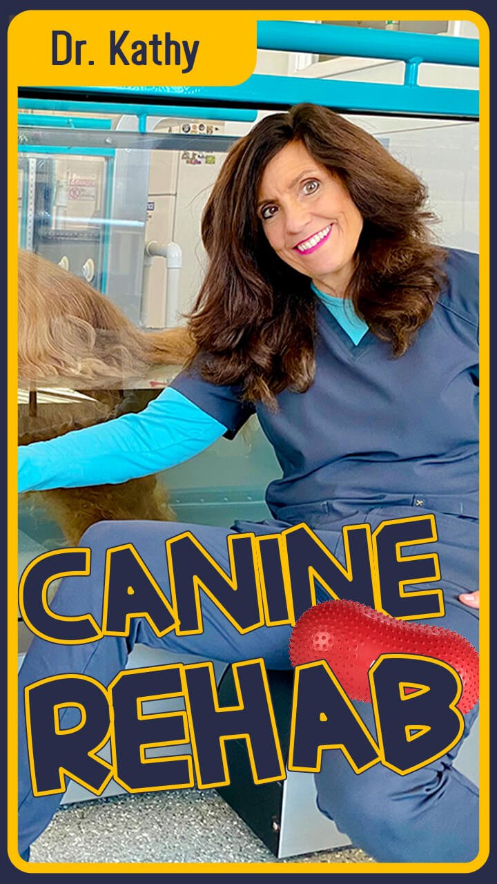 Canine Rehab