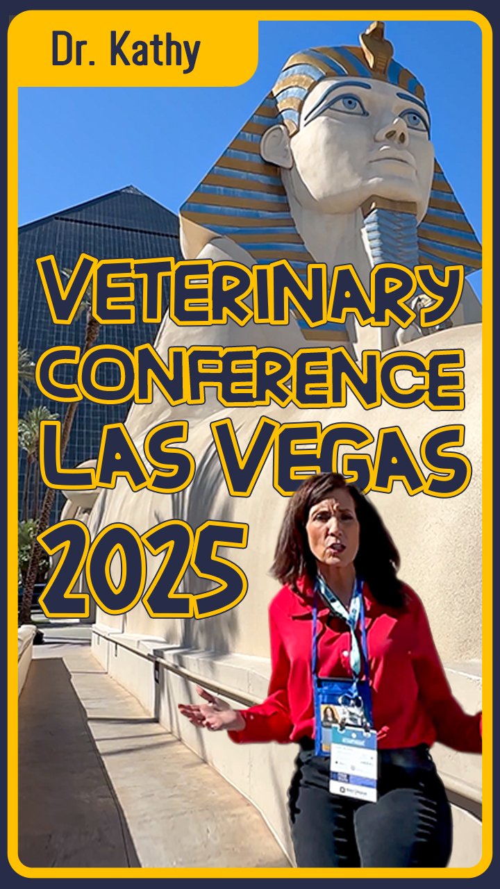 Veterinary Conference Highlights