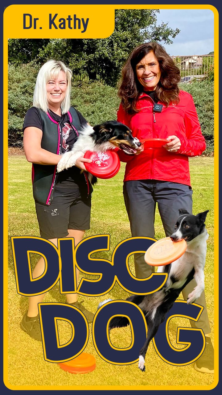 Disc Dog Champions!