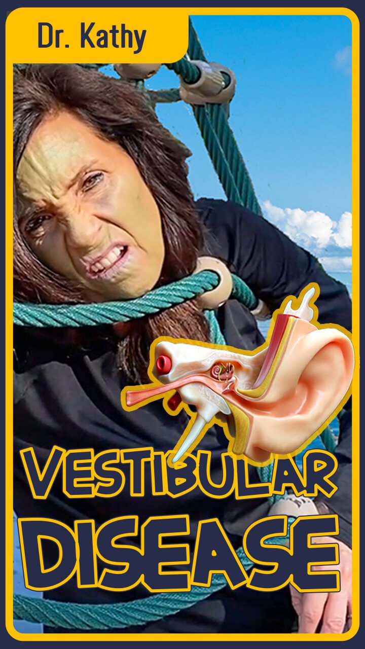 Vestibular Disease