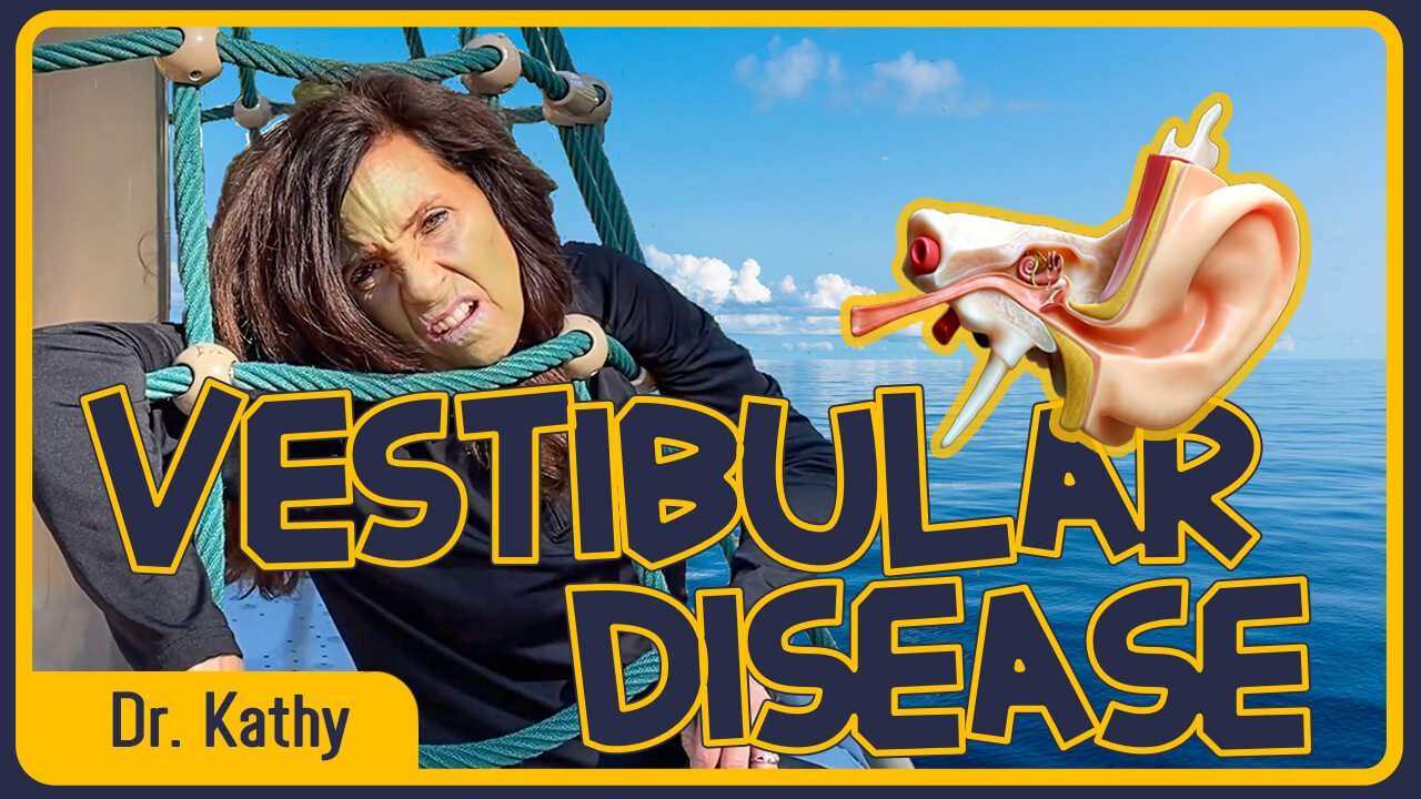 Vestibular Disease