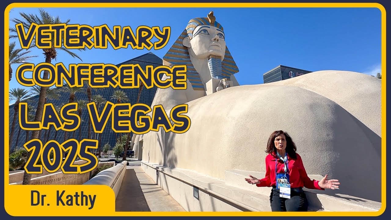 Vet Conference 2025