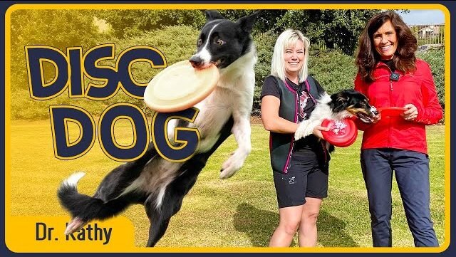 Disc Dog Champions! A Day with Kirby